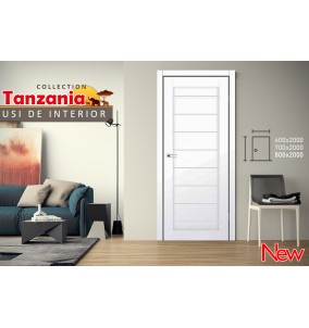 Usa Tanzania 2000*800
