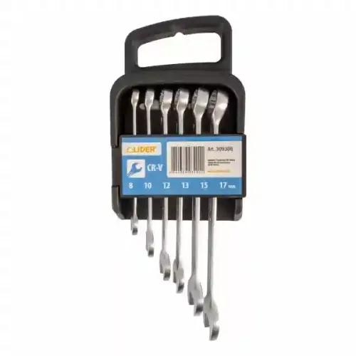 Set chei combinate 8-17mmCR-V 309306