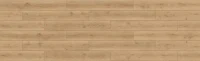 Laminat 8mm VX-68C Kolorado AC4 4V (120.832) Turcia