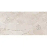 Armina Beige W M 30.8*60.8 NR Glossy 1/Epicentr 8.5 mm (72)