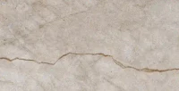 Armina Dark Beige W M 30.8*60.8 NR Glossy 1/Epicentr 8.5 mm (72)