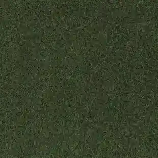 Premier 