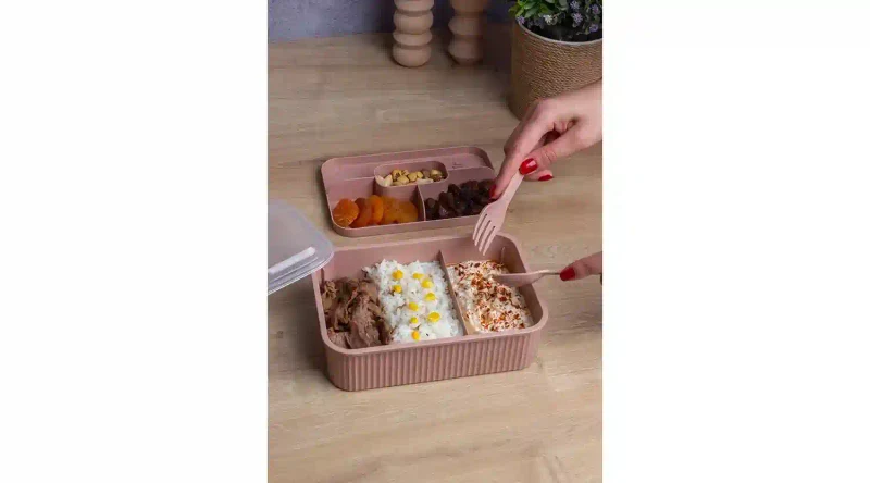 STRIPED LUNCH BOX WITH SPOON AND FORK/CK-384(24) 2