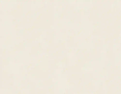 Tapete Natural Beauty 1.06m  2502171/4570901